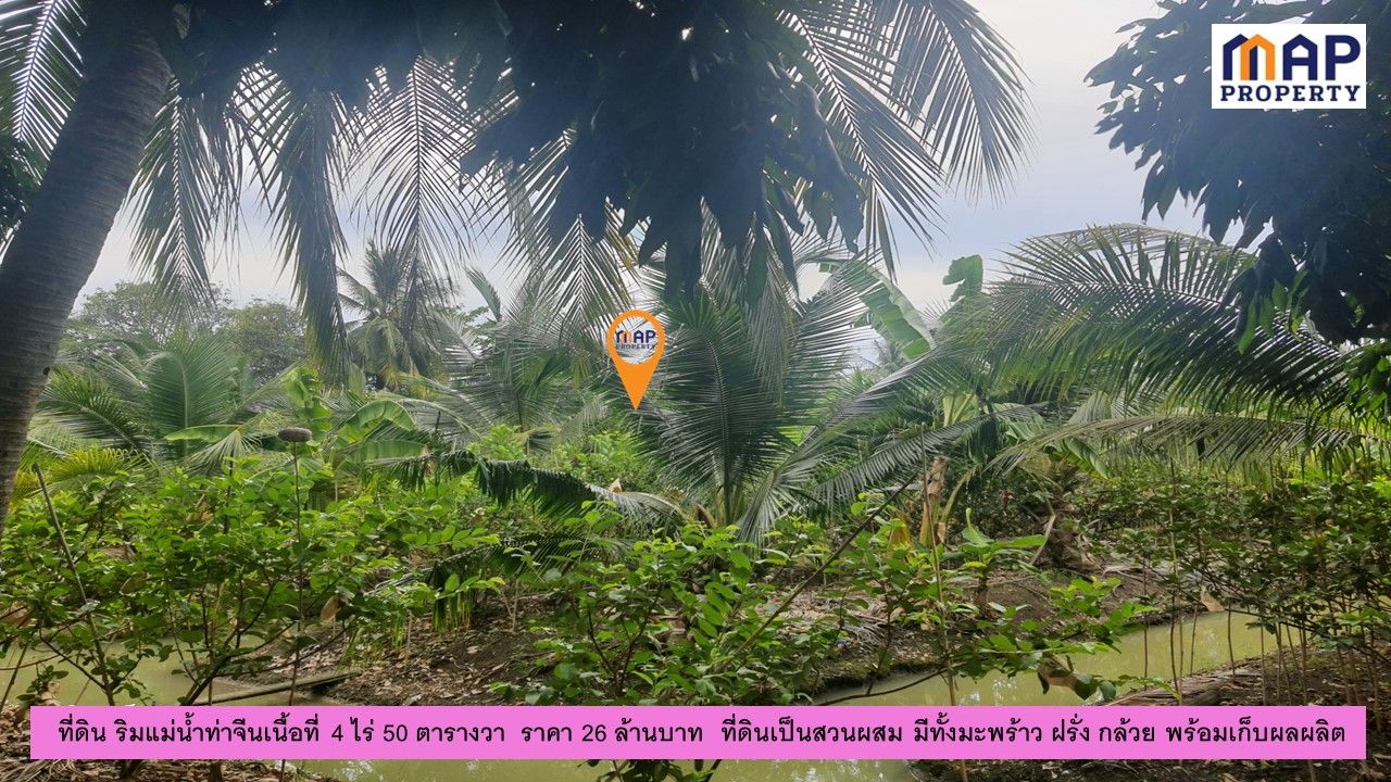 ที่ดินแปลงสวย ริมแม่น้ำท่าจีน 4 ไร่ 50 ตารางวา
