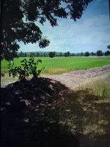 ที่ดินเปล่า ปราจีนบุรี 74-3-84
