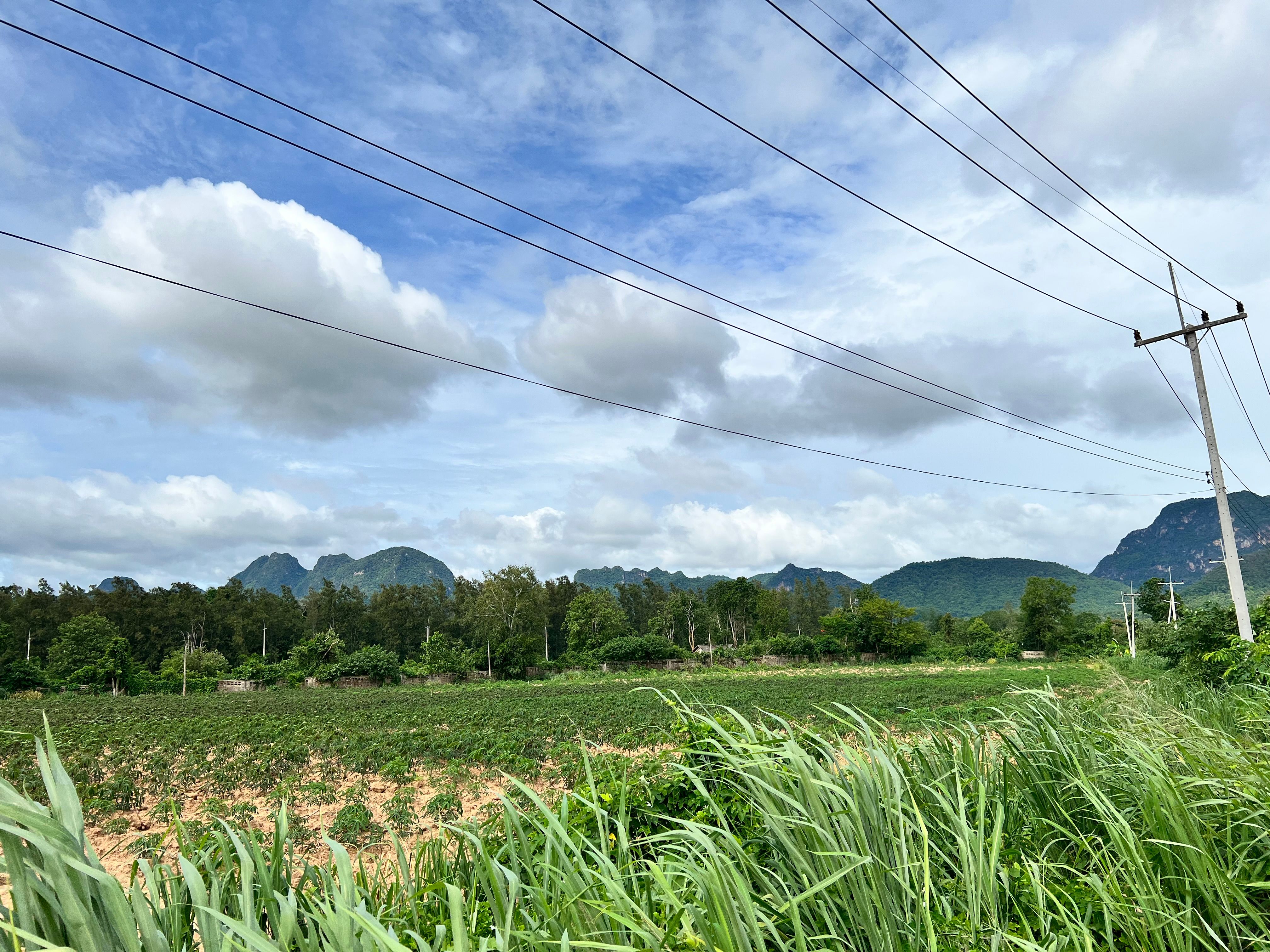 ขายที่ดินกาญจนบุรี ไทรโยค ที่ดินเปล่า ติดทางสาธารณะ