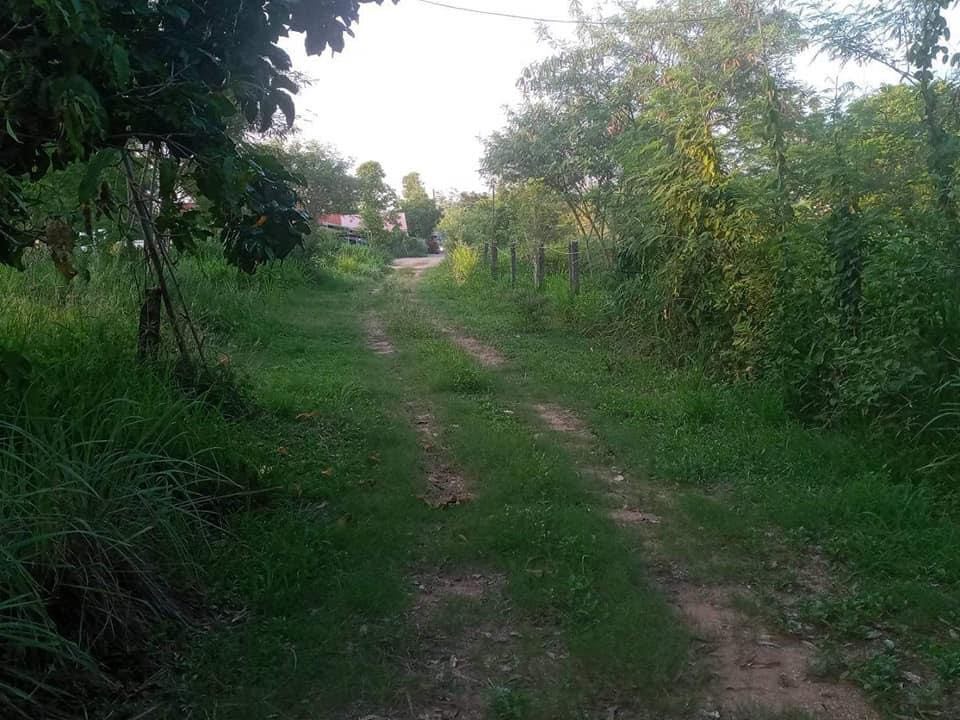 ขายที่ดินขอนแก่น เมืองขอนแก่น 6-2-52