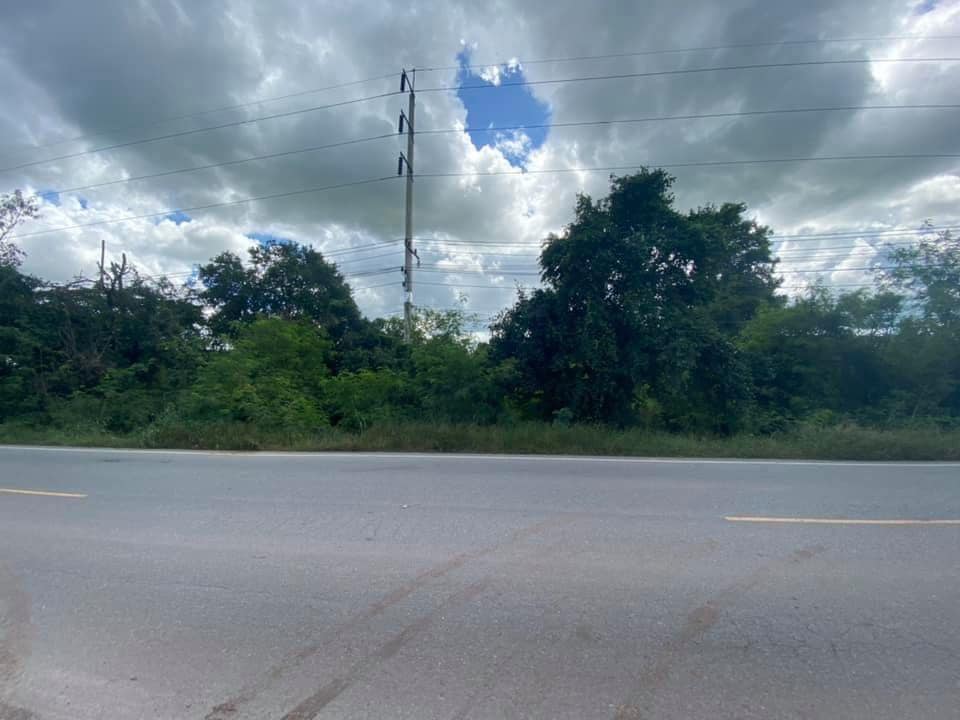 ที่ดินติดถนนหลวงแผ่นดินสายภูเขียว - เกษตรสมบูรณ์ ชัยภูมิ 5-3-60