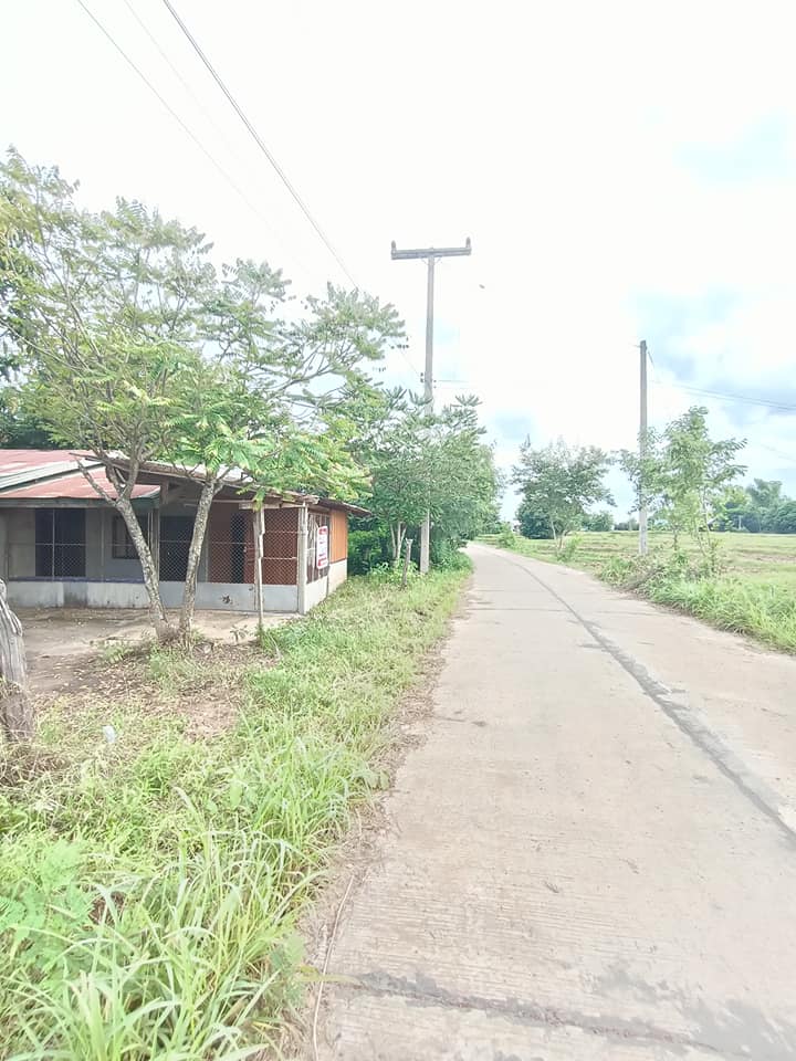 ขายที่ดินพร้อมสิ่งปลูกสร้าง เดชอุดม อุบลราชธานี 172 ตรว.
