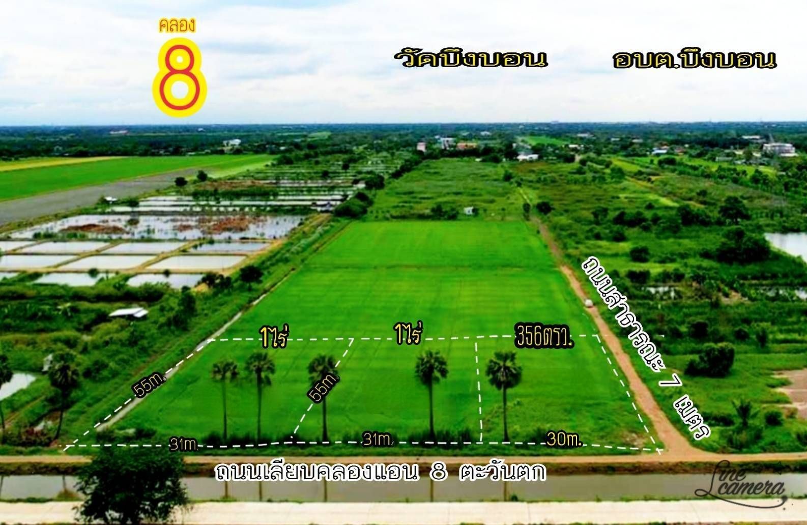 ขายด่วน ที่ดินแปลงสวย เหมาะทำบ้านสวน หรือโกดัง