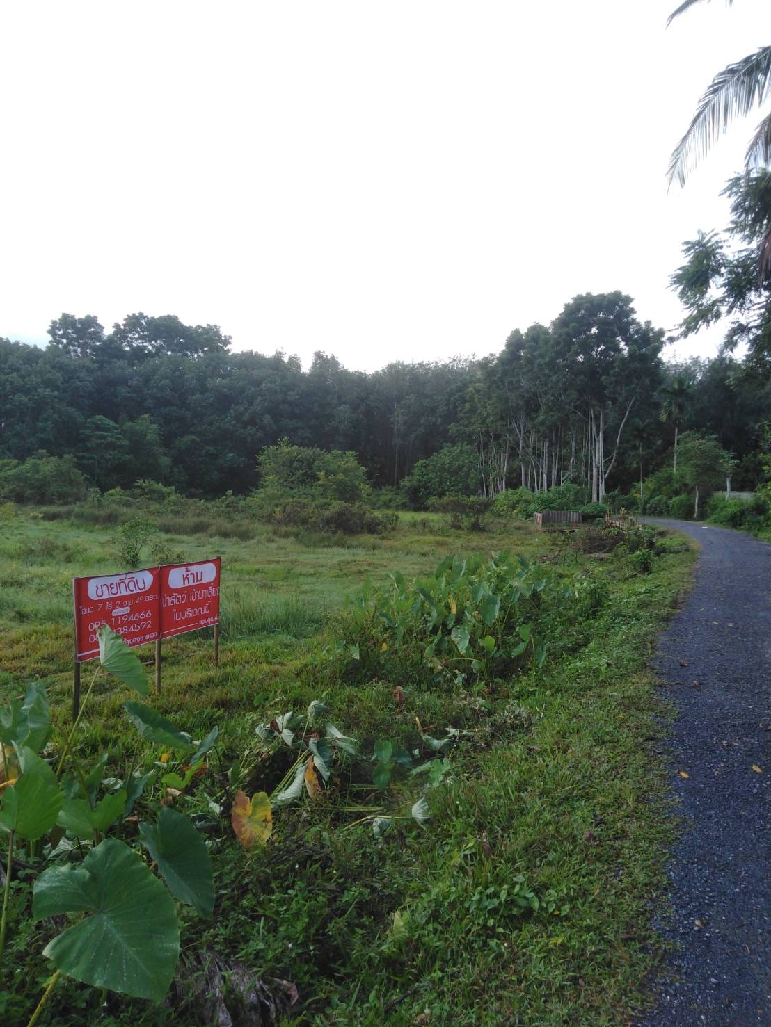 ที่ดินทำเลดี ใกล้เมืองทุ่งสง  นครศรีธรรมราช 7-2-49.2