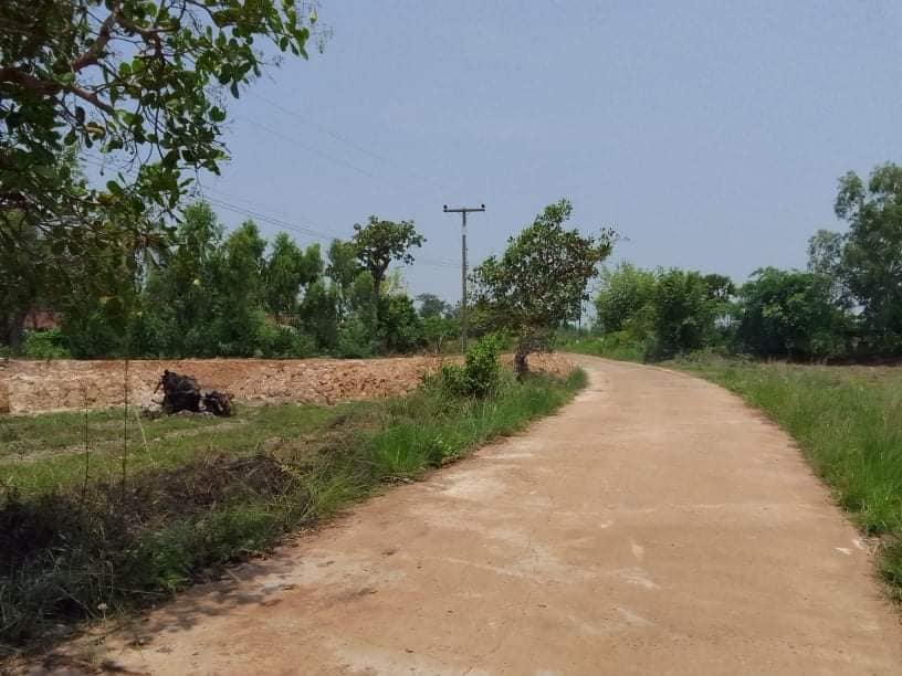ที่ดิน ต.หนองบัวฮี.อ.พิบูลฯ อุบลราชธานี