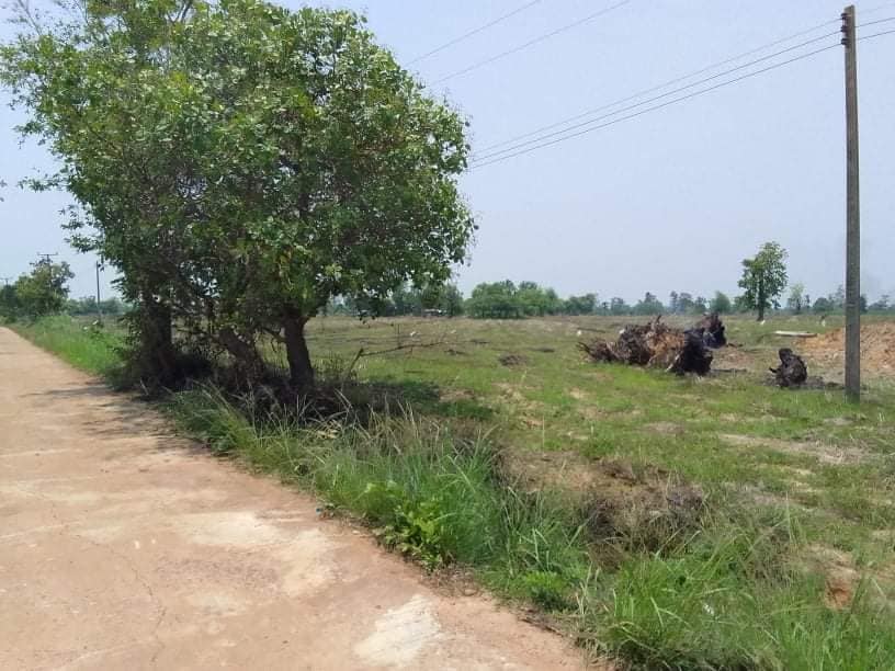 ที่ดิน ต.หนองบัวฮี.อ.พิบูลฯ อุบลราชธานี
