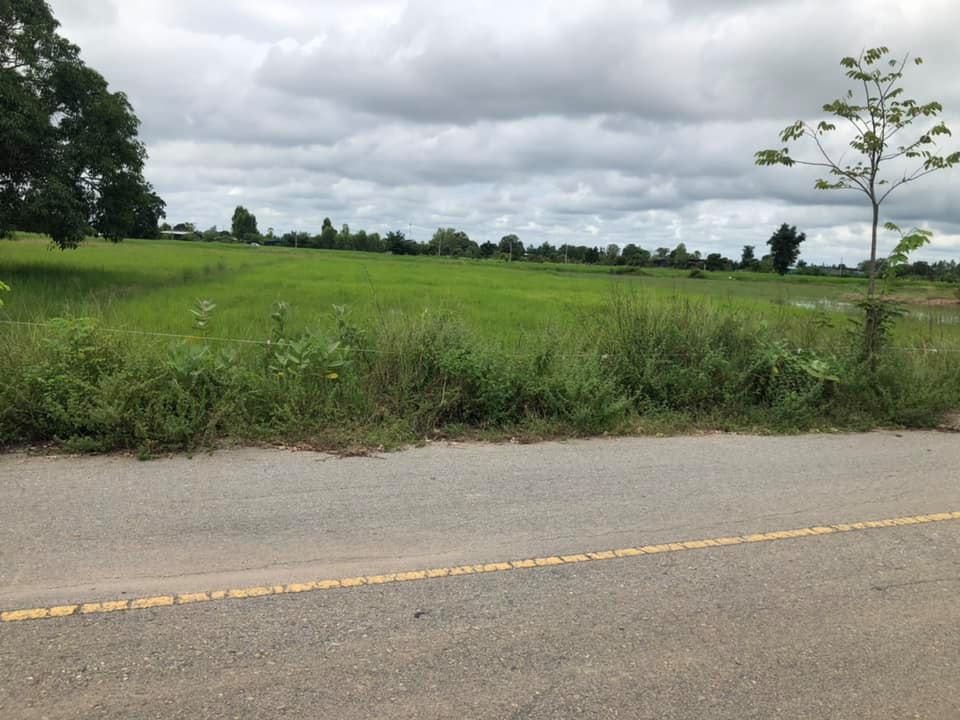 ที่ดินนา แปลงสวย สุพรรณบุรี 2 ไร่