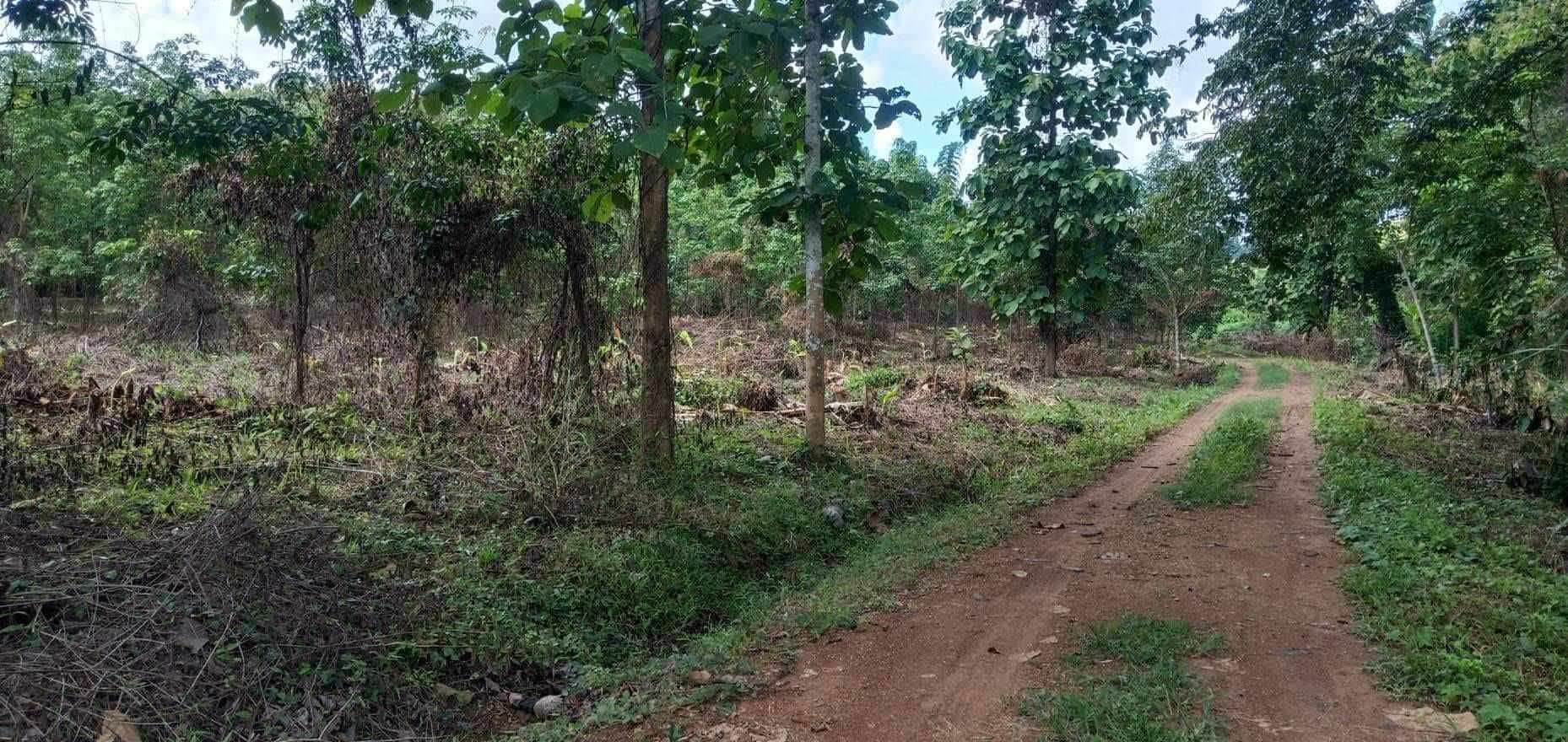 ที่ดินเปล่า ท่าปลา อุตรดิตถ์ 
