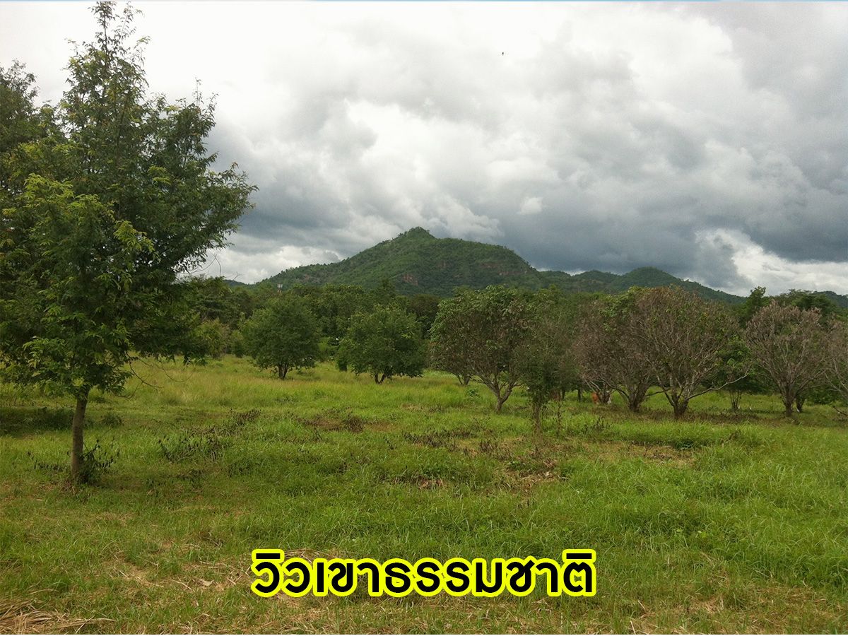 พลาดไม่ได้ !! ที่ดินผืนใหญ่ ติดแม่น้ำสองด้าน ใกล้สถานที่ท่องเที่ยวภูกระดึง เนื้อที่ 61 ไร่ 1 งาน 67 ต.ร.ว มีสิ่งอำนวยความสะดวก ใกล้แหล่งท่องเที่ยว