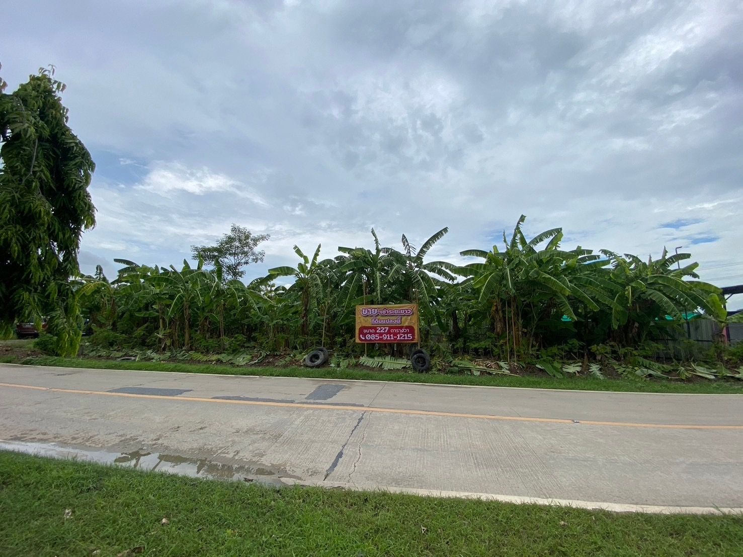 ขายที่ดินแปลงสวย ถมแล้ว บางใหญ่ 227 ตรว. ติดถนนหลัก เหมาะปลูกบ้านร้านค้า