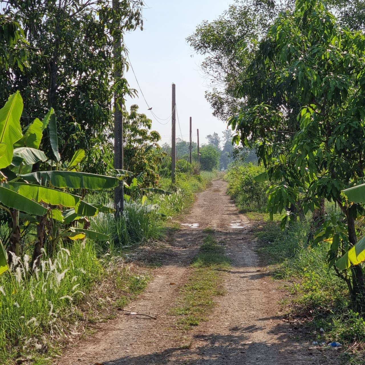 ขายที่ดิน 1 ไร่ (ต่อรองได้ครับ)