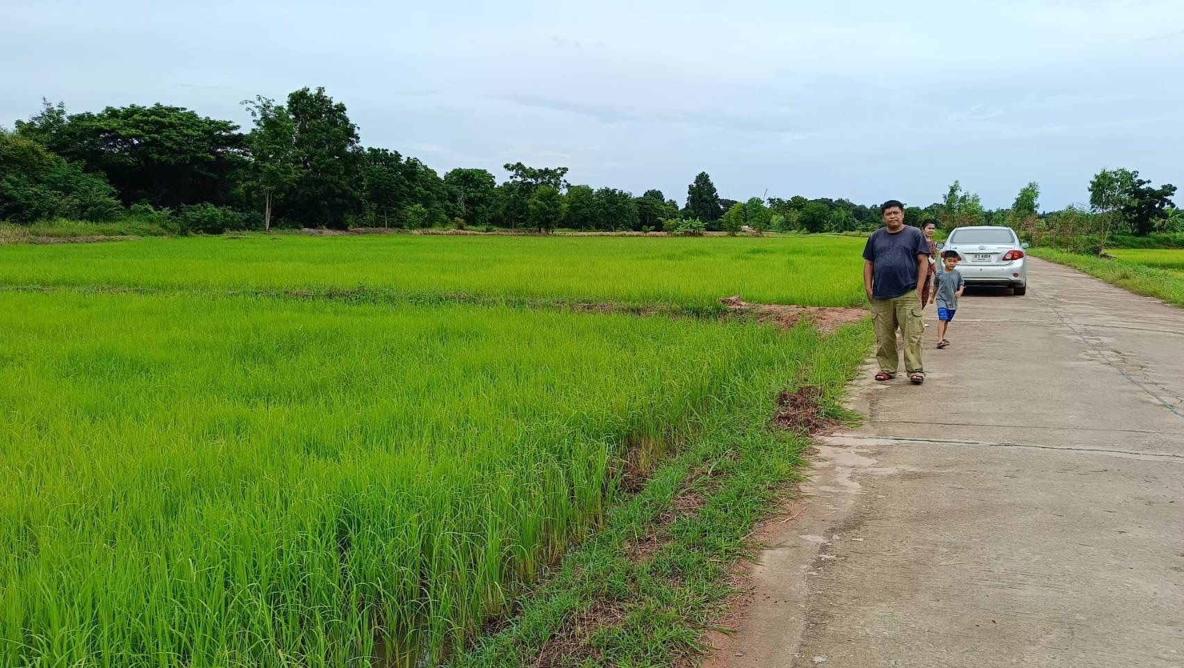 ประกาศขายที่ดิน อ.เชียงยืน ห่างจากตัวเมืองขอนแก่นเพียง 15 กม.