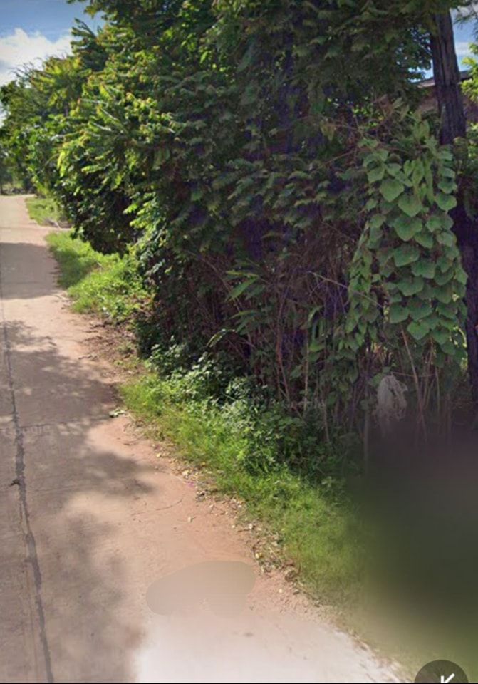 ขายที่ดิน 0-0-87 โคราช