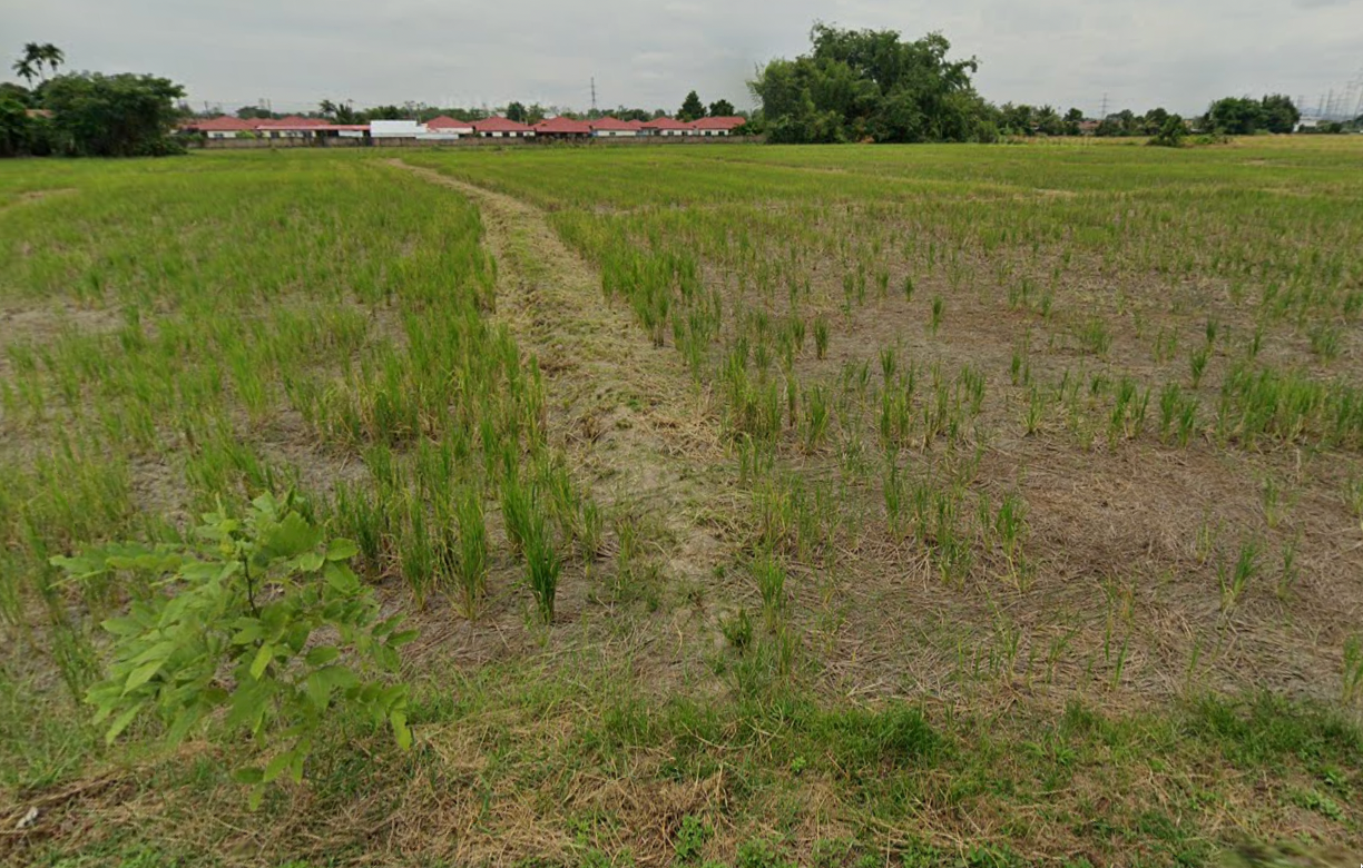 ขายที่ดิน เชียงใหม่ 7-3-10 ไร่