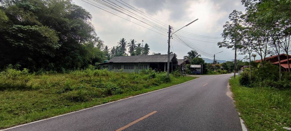 ที่ดิน 61.1 ตรว.ติดถนนลาดยาง ในชุมชน ใกล้ศูนย์ราชการ อำเภอนาหม่อม จ.สงขลา