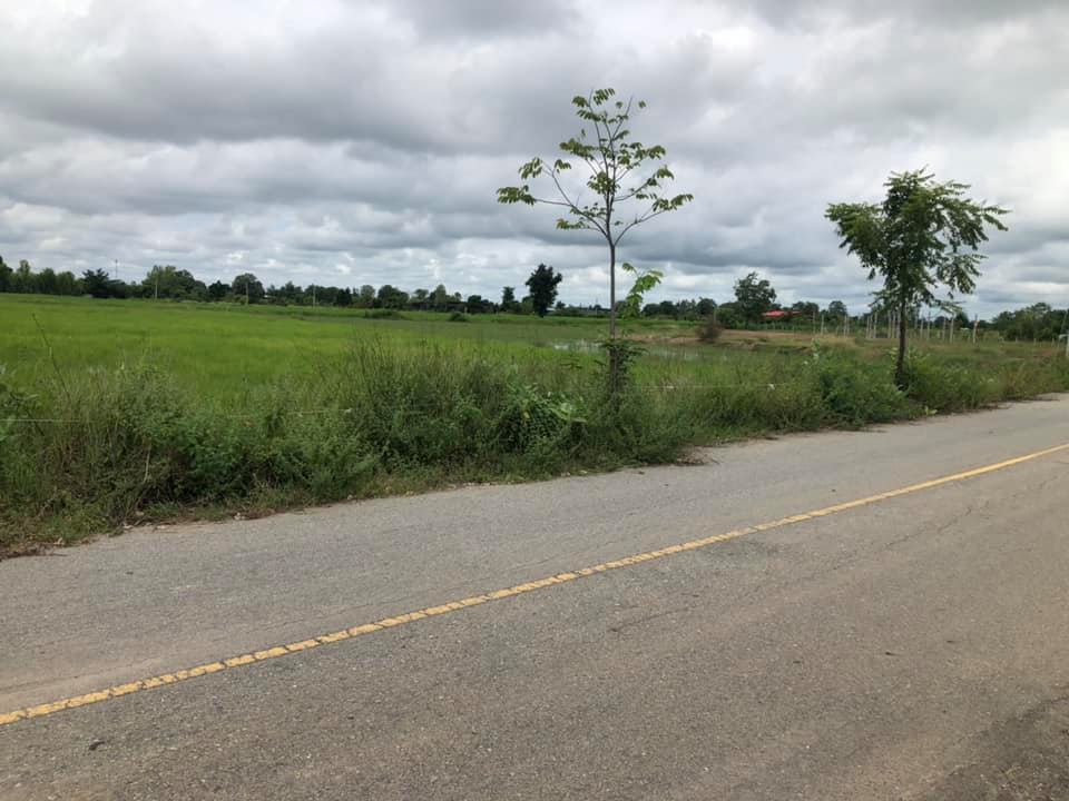ที่ดินนา แปลงสวย สุพรรณบุรี 2 ไร่