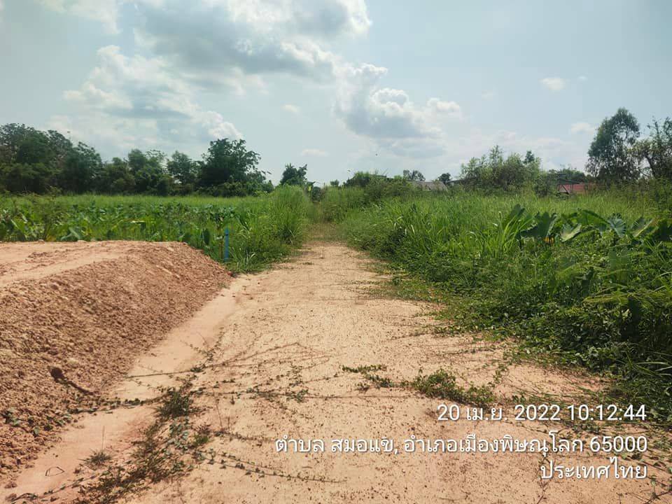 ที่ดินเปล่า อ.เมือง พิษณุโลก 50.5 ตรว.