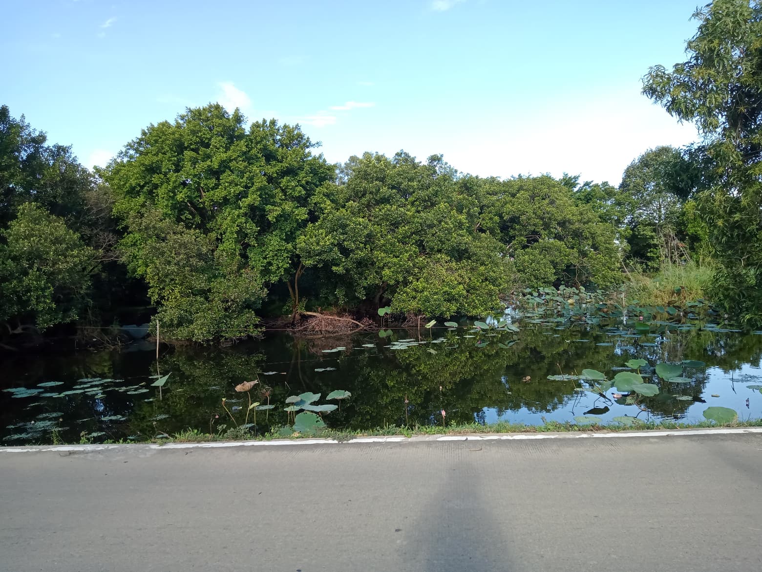 ที่ดินเปล่า ติดแม่น้ำ เมืองปทุมธานี 2-3-57