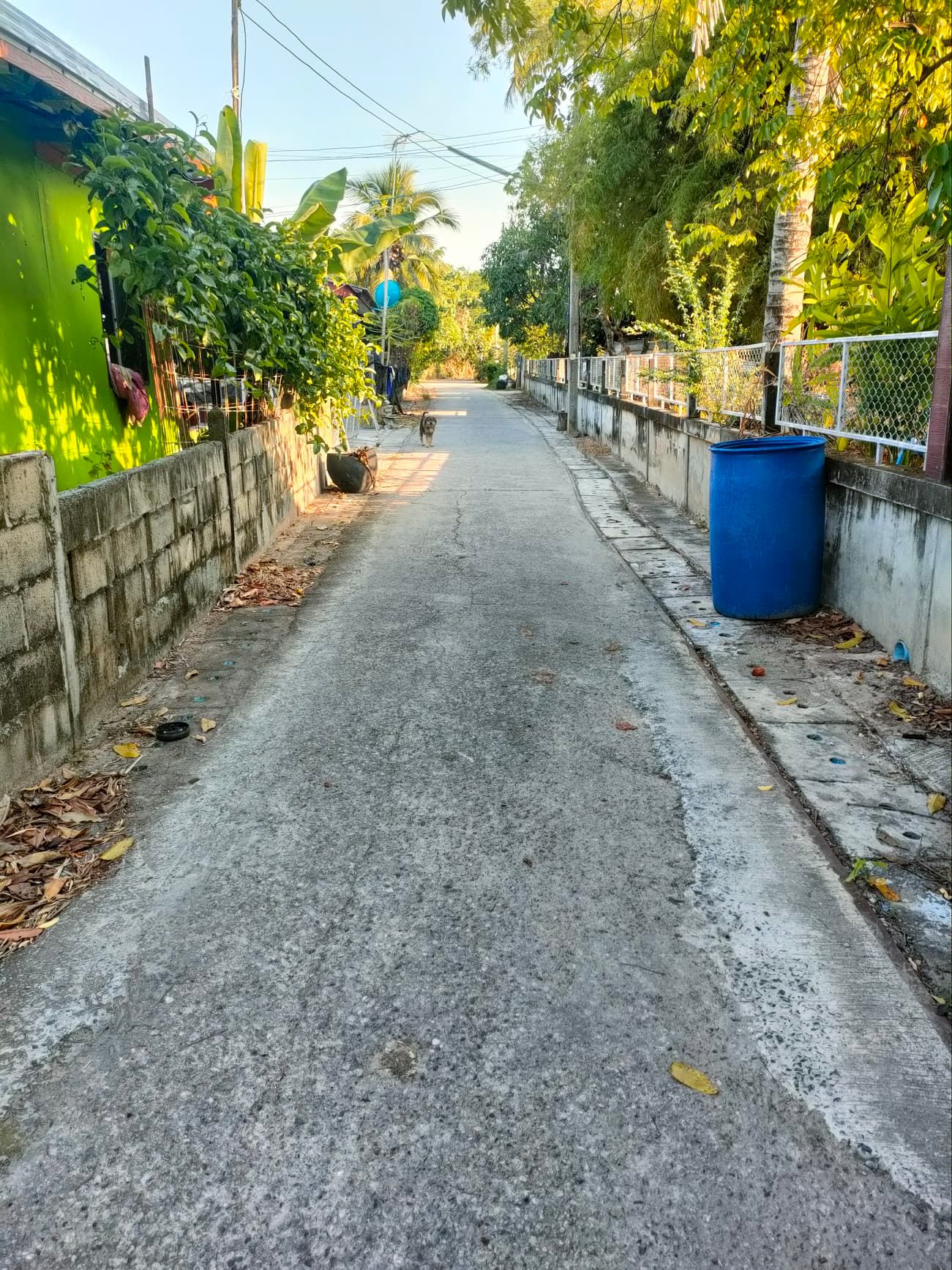 ขายที่ดินขอนแก่น เมืองขอนแก่น 0-0-54.4