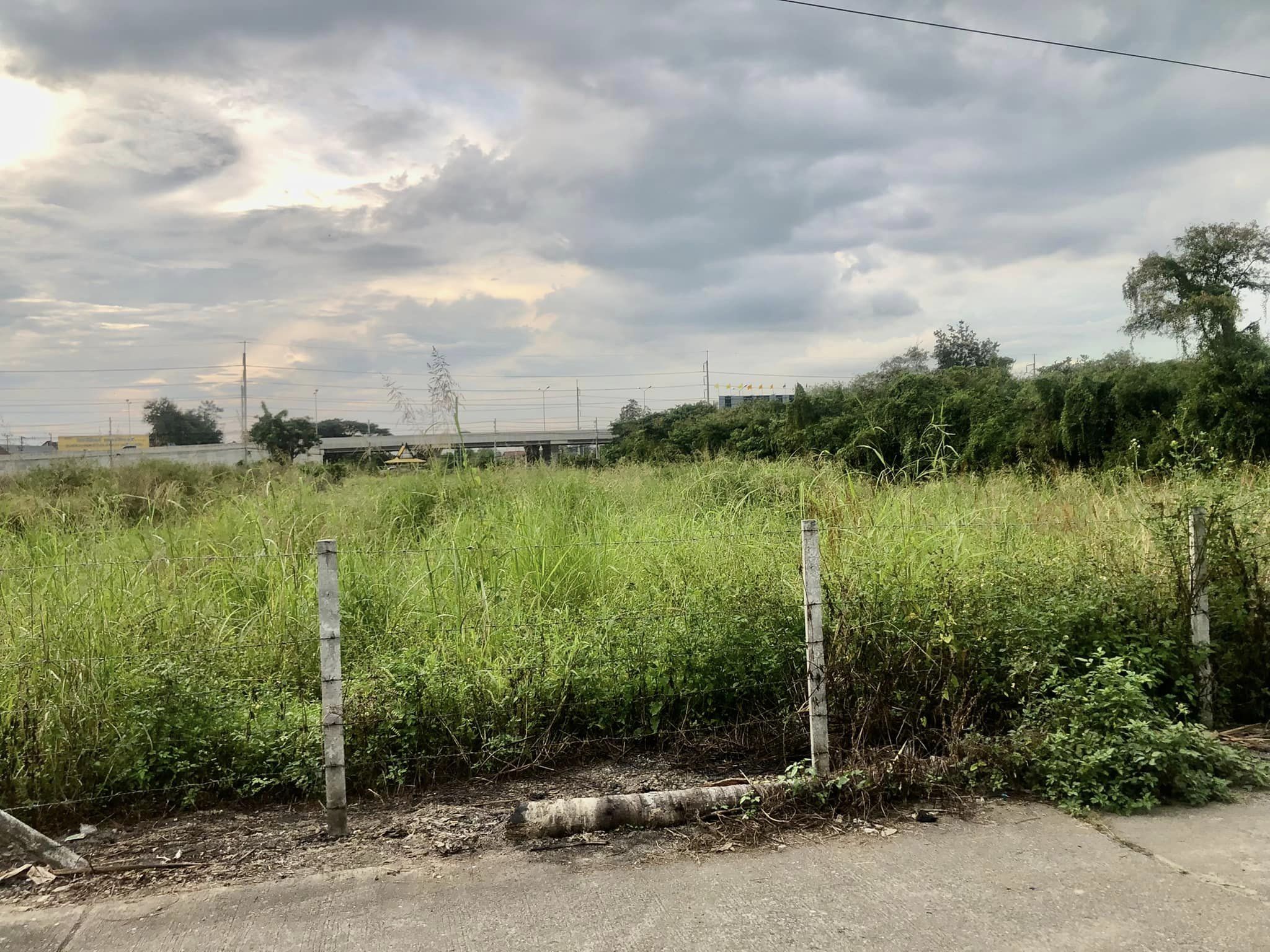 ขายที่ดินลำพูน เมืองลำพูน 5-0-53.8
