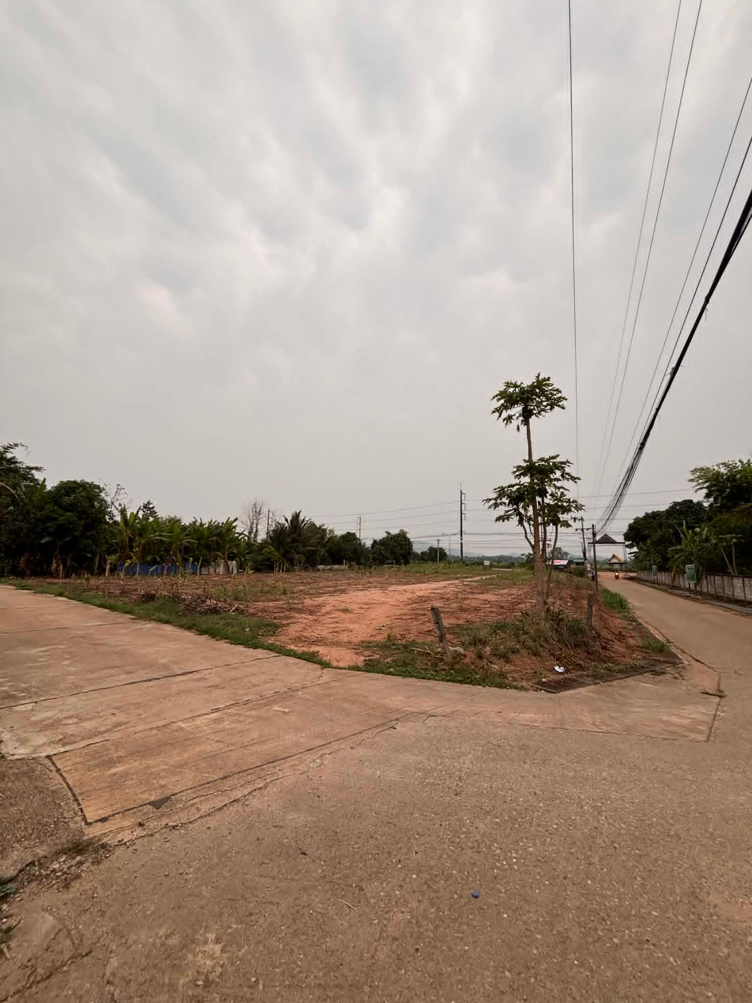 ขายที่ดิน ต.ป่าสัก อ.เชียงแสน จ.เชียงราย