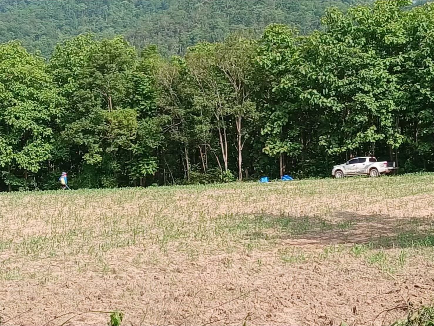 ขายที่ดินอุตรดิตถ์ ฝากท่า ที่13ไร่ อุตรดิตถ์ พร้อมต้นสัก50ต้น