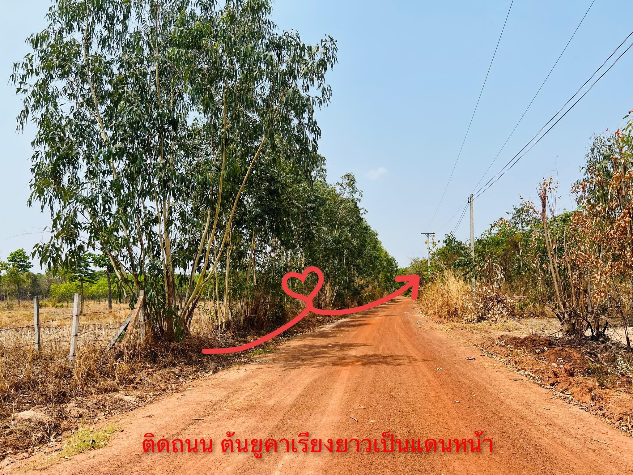 ขายที่ดินอำเภอสว่างแดนดิน ไฟฟ้า น้ำถึง 