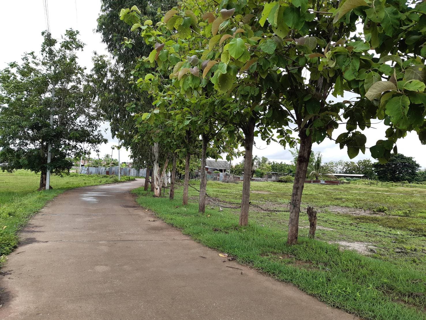 ที่ดินเปล่า เมืองลำปาง 2-2-8.9