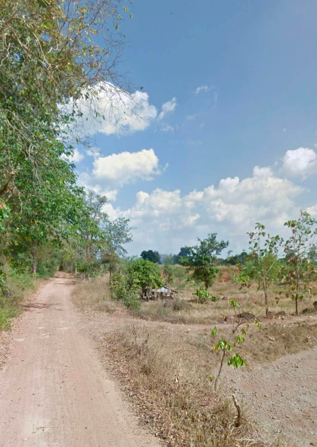 ขายที่ดิน ที่เปล่า ยางตลาด กาฬสินธุ์ 8-0-40