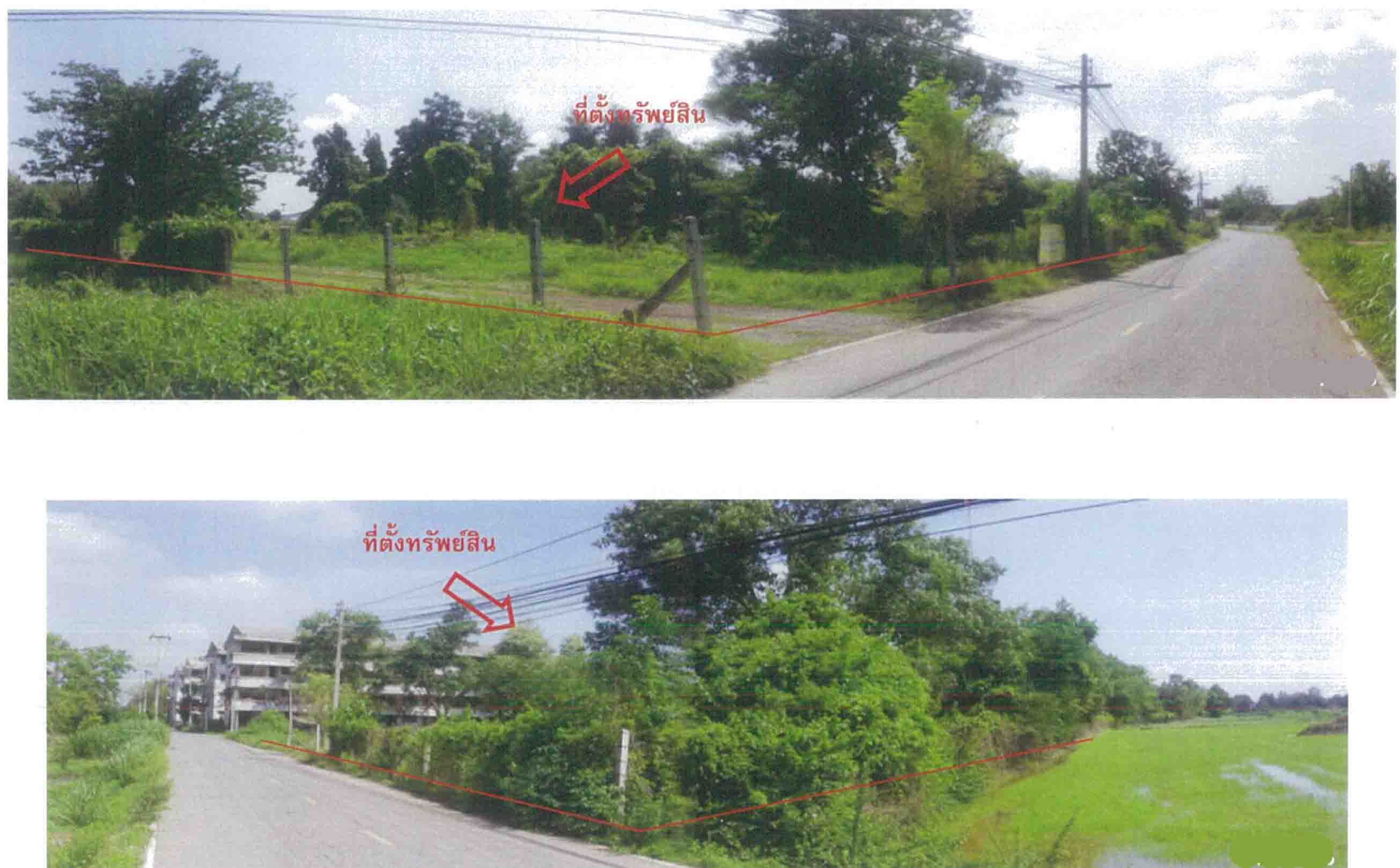 ขายที่ดิน อำเภอวังทอง พิษณุโลก 7-0-20.5 ไร่
