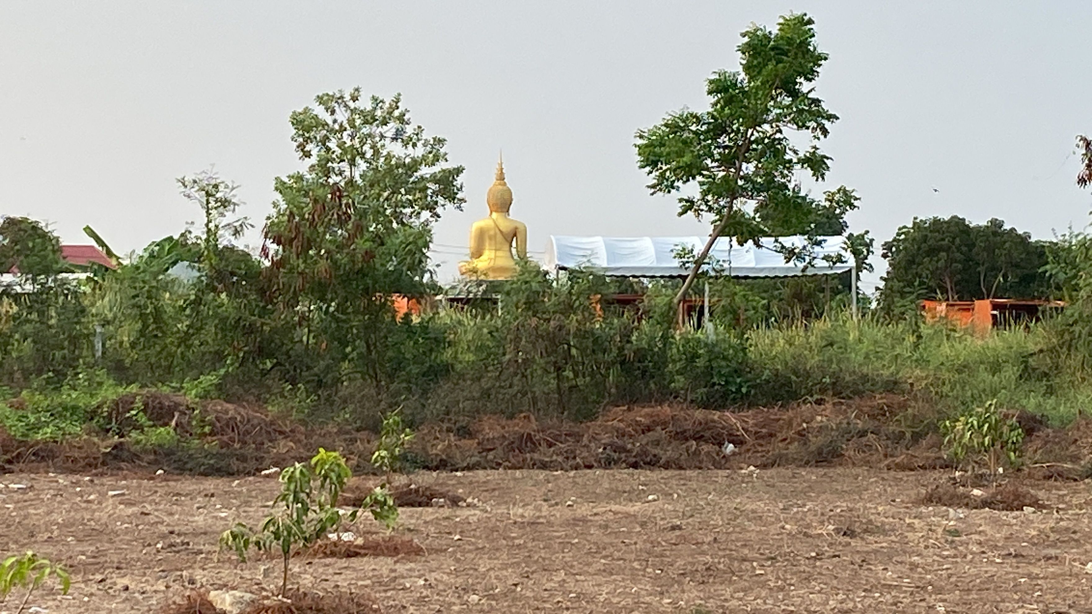 ที่ดินเปล่าถมแล้วใกล้แหล่งการค้าน่าลงทุน