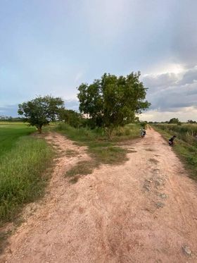 ที่ดินที่นาพนัสนิคม ชลบุรี 3-2-11.5