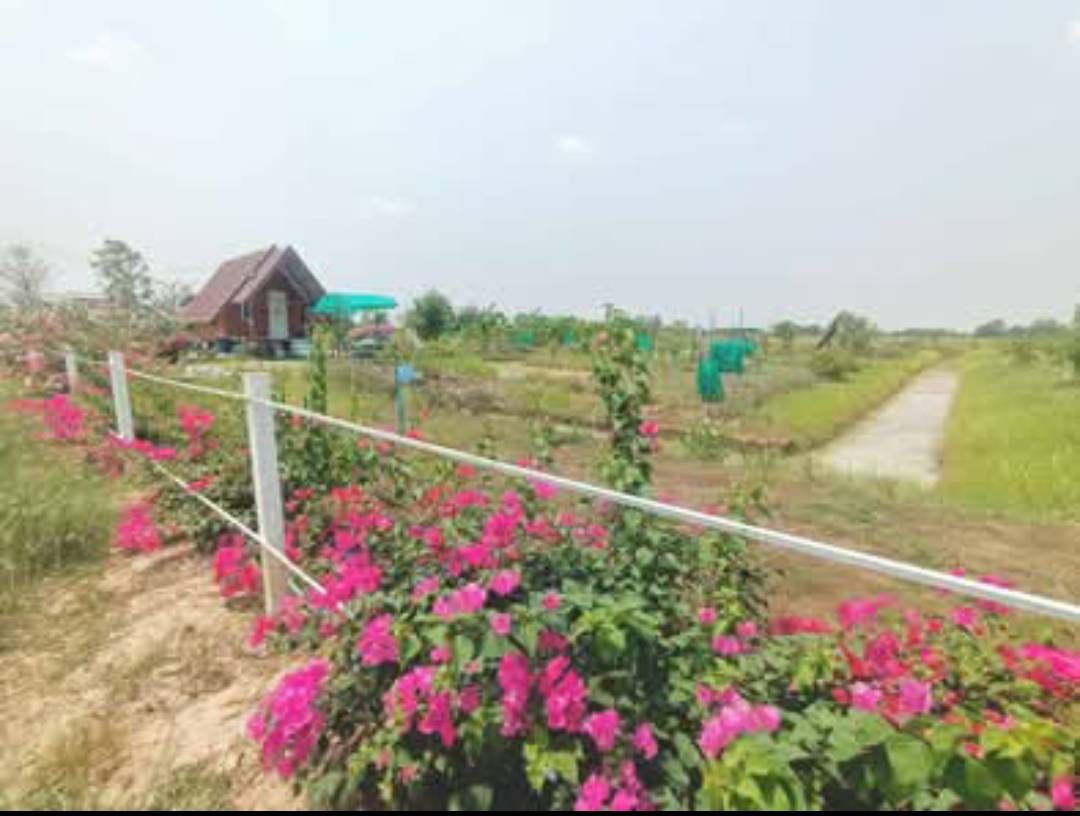 ขายที่ดินอำเภอหนองหญ้าไทร 1 ไร่ 200 ตร.วา พร้อมบ้านตากอากาศ