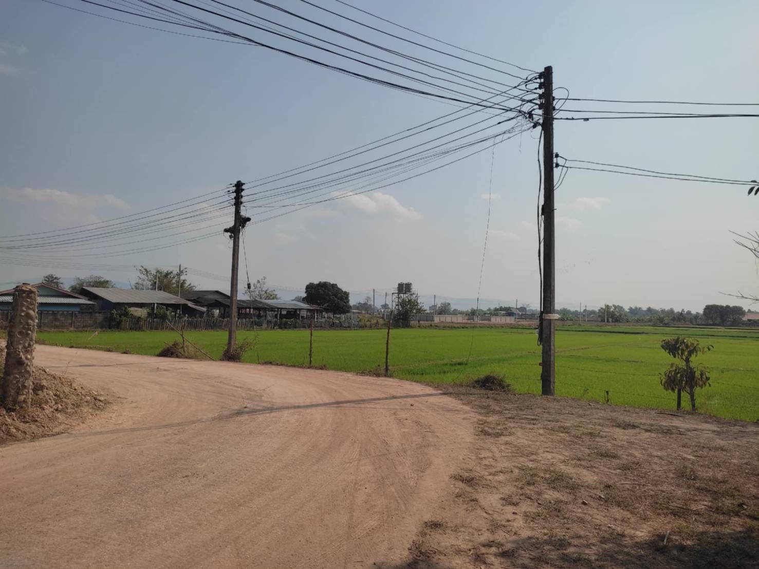 ขายที่ดินเชียงราย อำเภอเมอืง ขายด่วน ที่ดิน 2 ไร่ ติดถนนคอนกรีต ใกล้สิงห์ปาร์ค