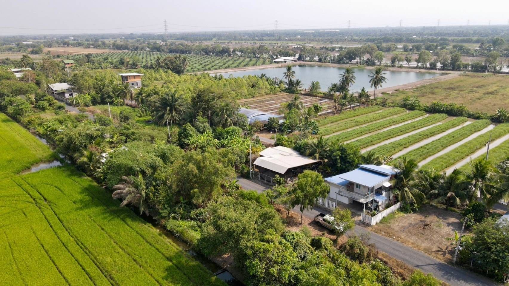 ขายที่ดินปทุมธานี ที่ดินทำเลดี เหมาะปลูกบ้านมาก อยู่ในแหล่งชุมชน หนองเสือ ปทุมฯ 0-0-50