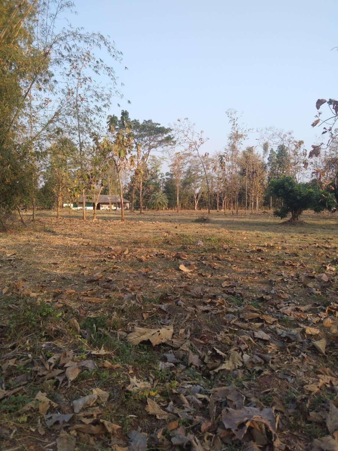 ขายที่ดินเชียงใหม่ ที่น.ส.3ก. ที่สวย บรรยากาศดี พร้อมให้ลงทุนต่อได้ทันที แม่แตง 13-3-0