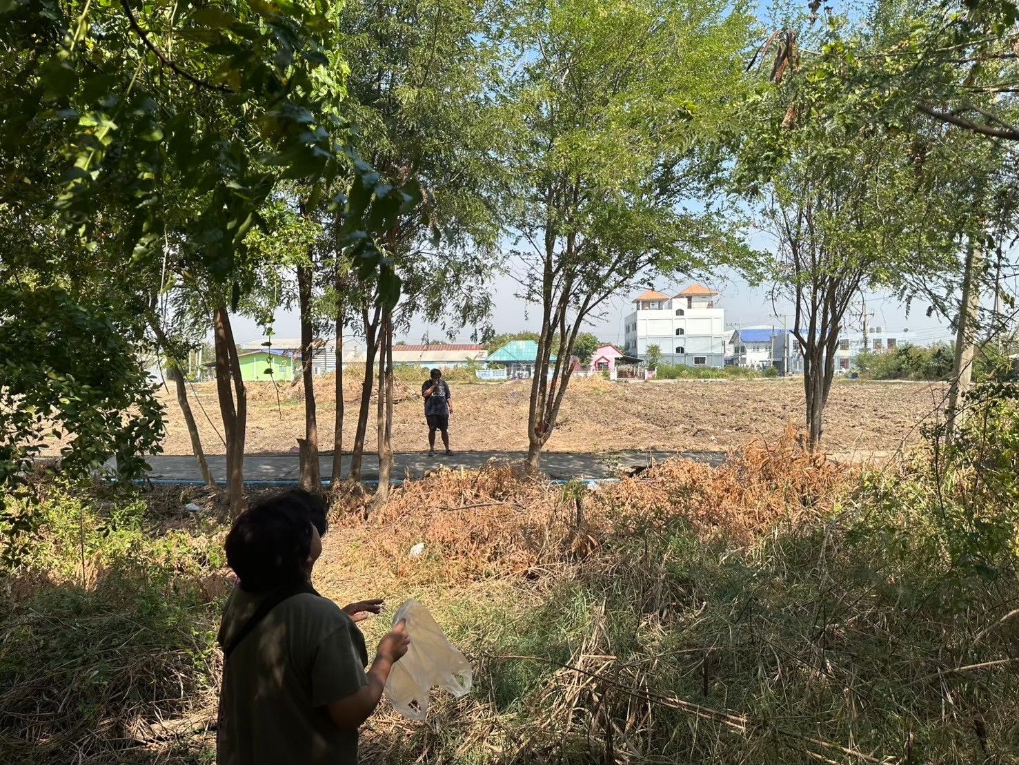 ขายที่ดิน บางประหัน ครับ