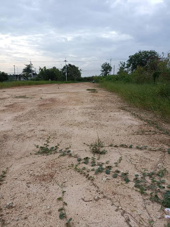ขายที่ดิน อ.บ้านแพ้ว จ.สมุทรสาคร 1 ไร่