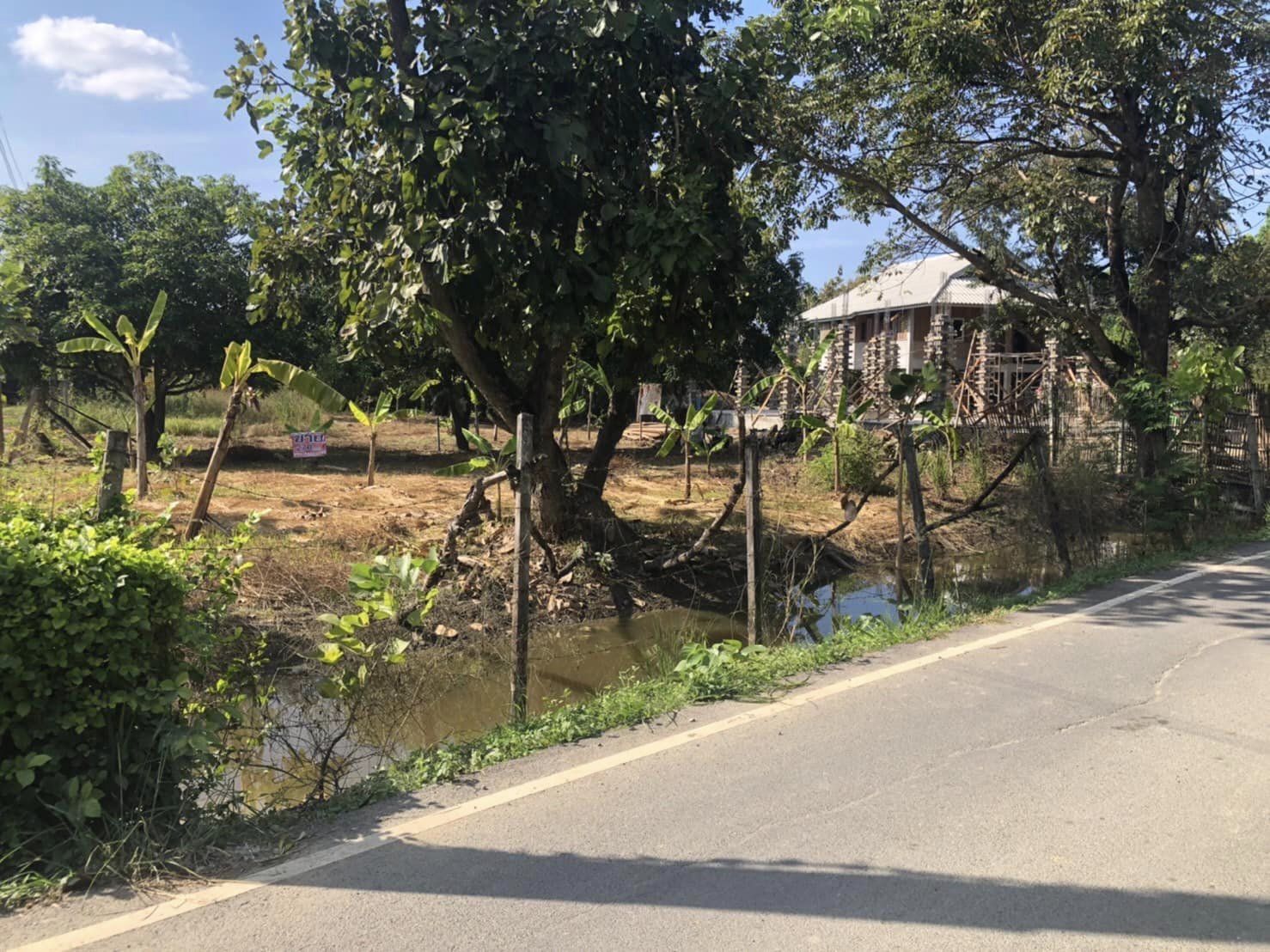 ขายที่ดินเชียงใหม่ สันกำแพง 270 ตร.ว.