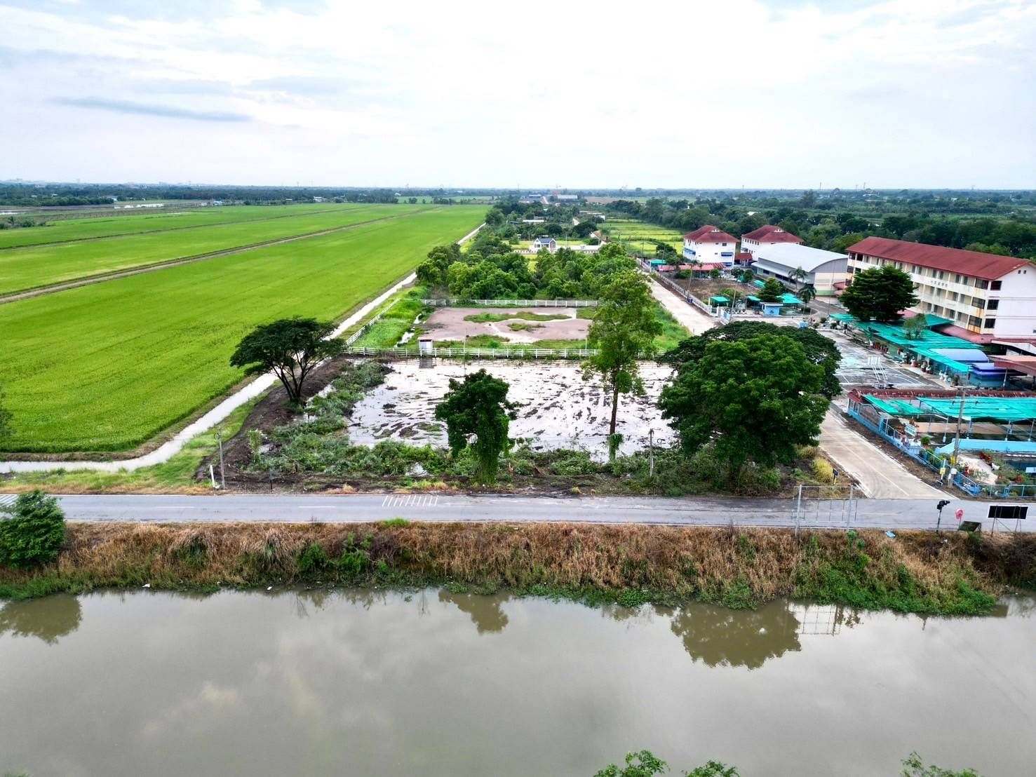 ขายที่ดินปทุมธานี อำเภอหนองเสือ ที่ดินแปลงสวย ใกล้โรงเรียนจุฑารัตน์วิทยา 2-1-24 ไร่.