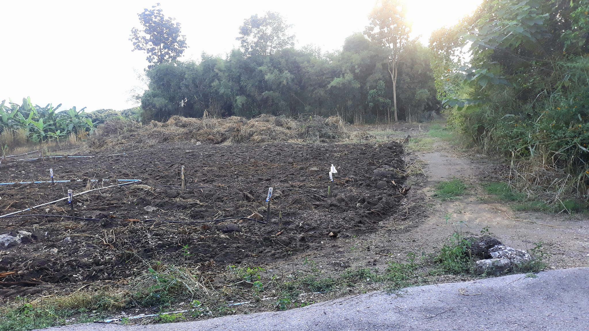 ขายที่ดินราชบุรี เมืองราชบุรี 6-2-42