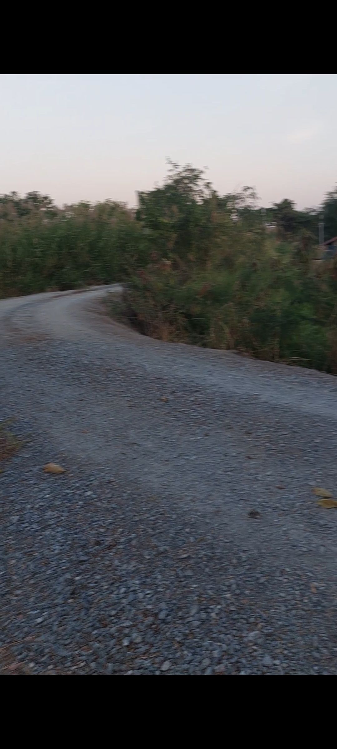 ขายที่ดินติดเเม่น้ำสุพรรณบุรี