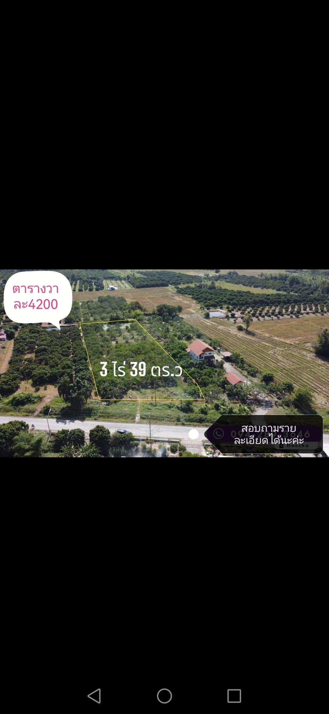 ที่สวนลำใย
