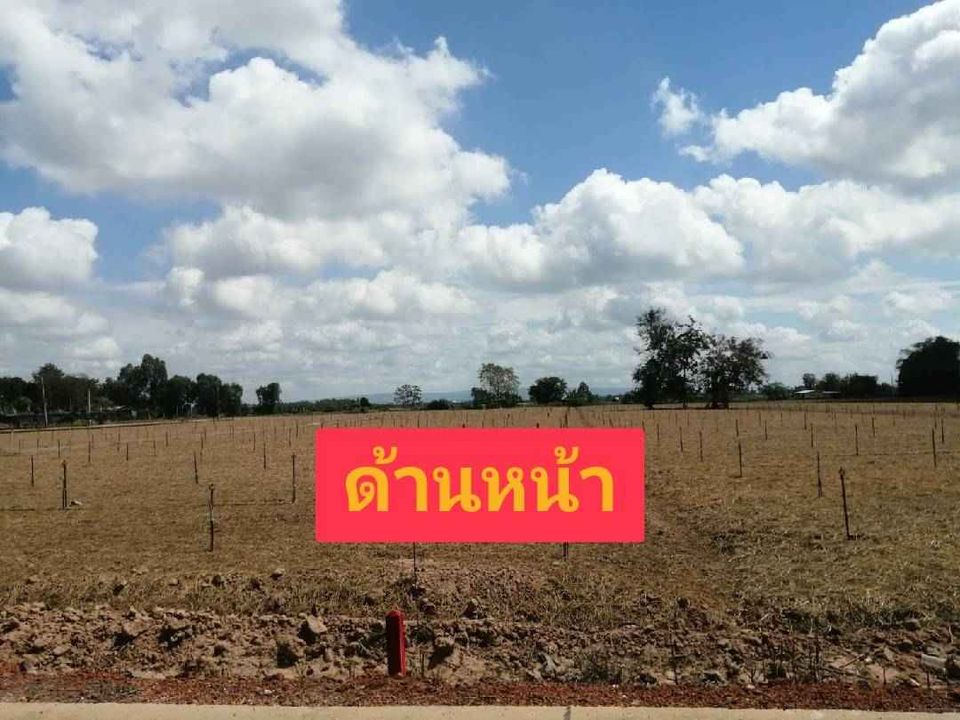 ขายที่ดินพิษณุโลก เมืองพิษณุโลก 1-1-4ตารางวา