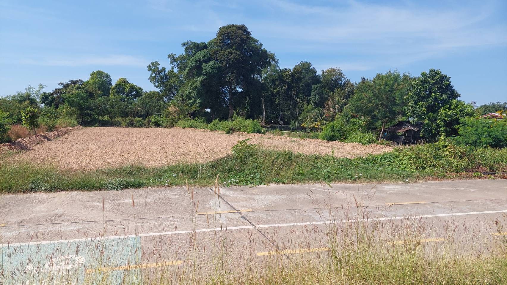 ที่ดินติดริมแม่น้ำโขง จังหวัดนครพนม