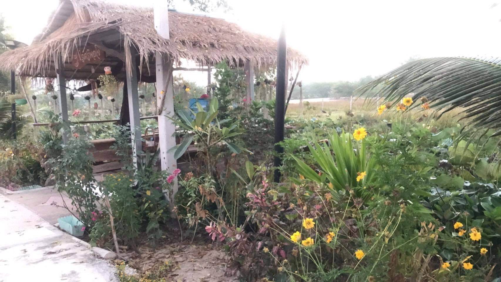 บ้านพร้อมที่ดิน ใกล้ถนนสี่เลน ชะอำ เพชรบุรี