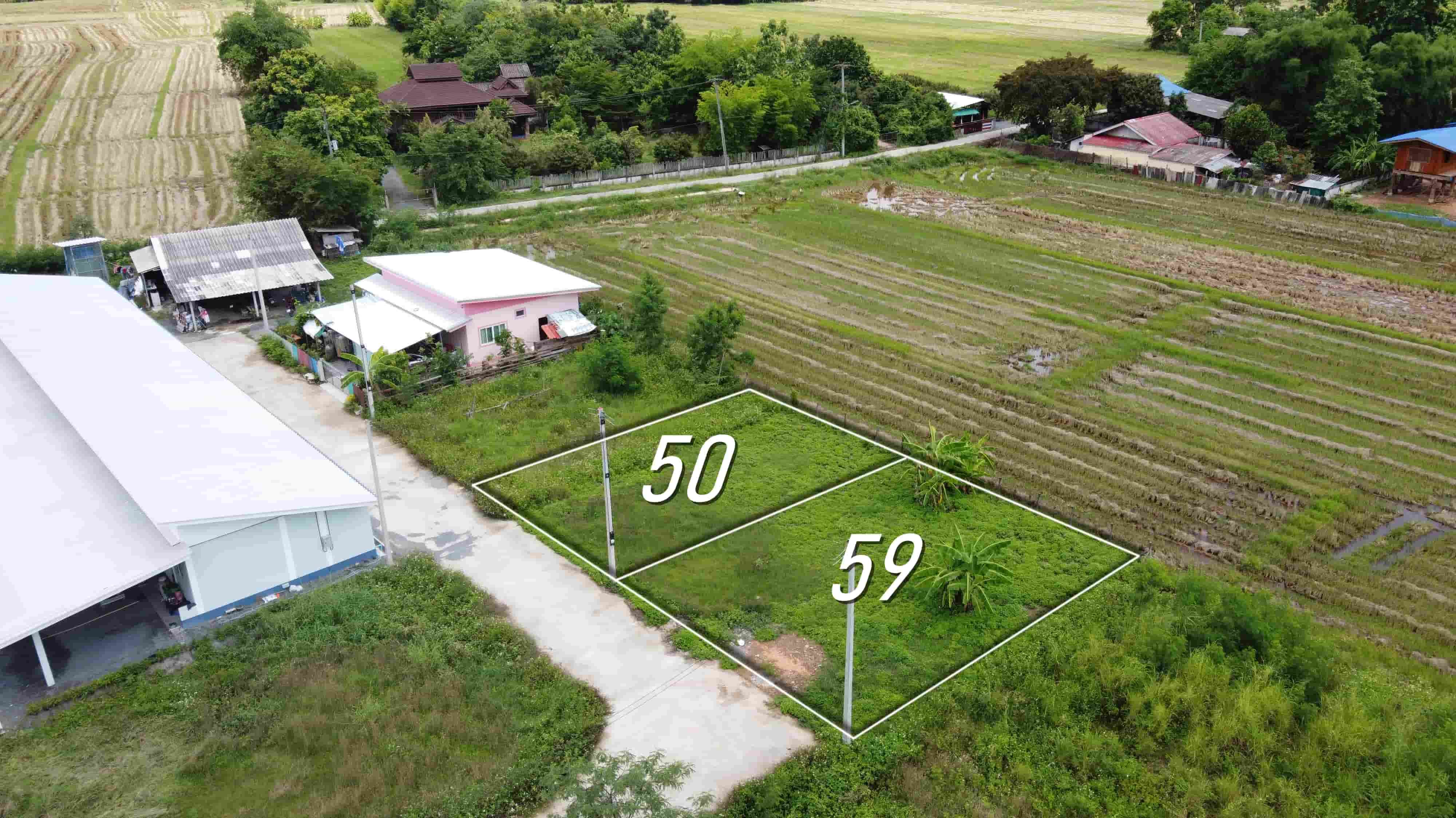 ขายที่ดินเชียงใหม่ สันกำแพง แบ่งขาย 50 และ 59 ตร.ว. เริ่มต้น 300,000 บาท น้ำไฟถนนคอนกรีตพร้อม!