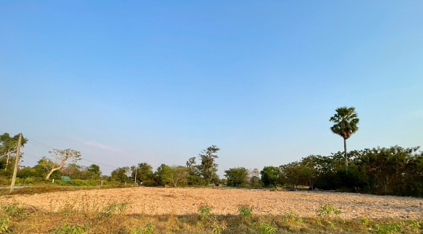 ขายที่ดินเปล่าเหมาะสำหรับสร้างบ้านสวนและบ้านพักอาศัย ตำบลท่าสว่าง 