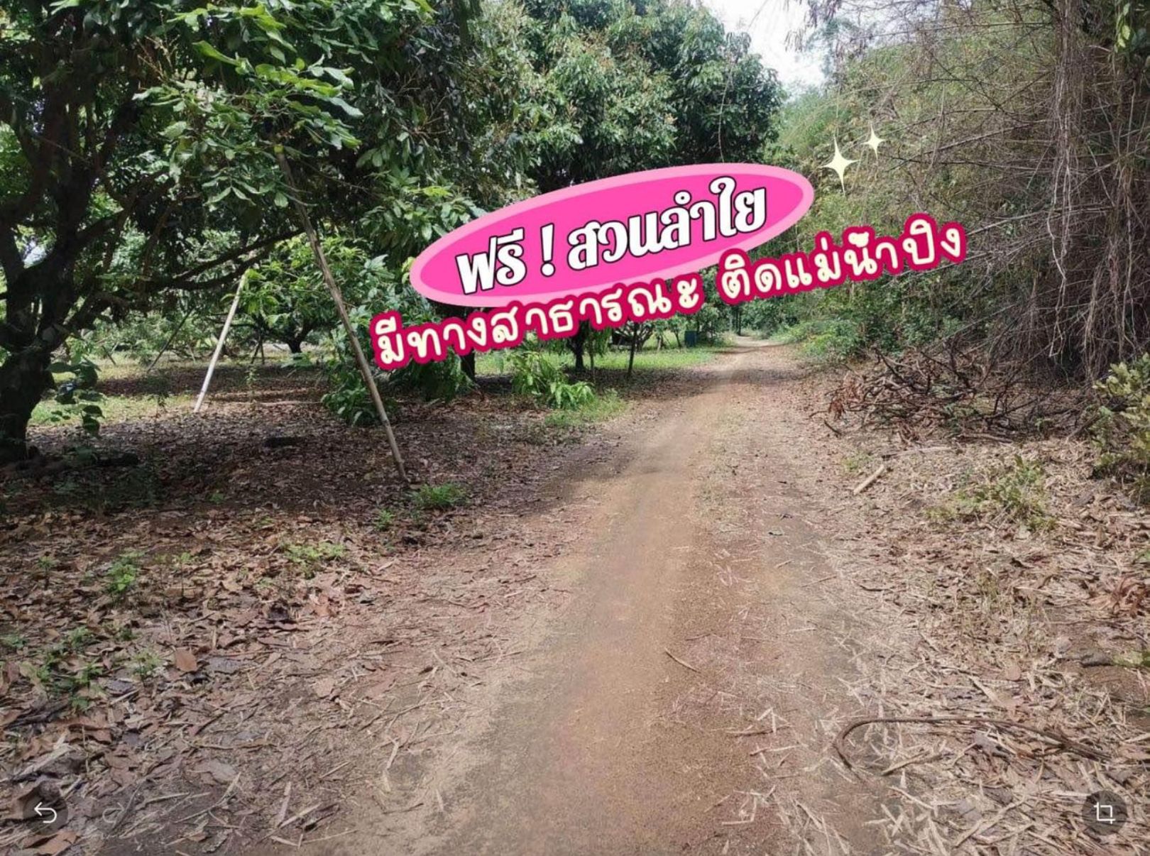 ที่ดินพร้อมสวนลำใย