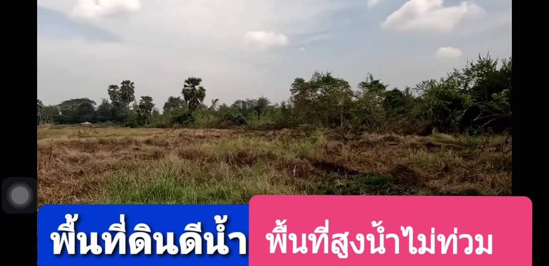 ขายที่ดินราชบุรี 8-0-71